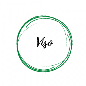 Viso