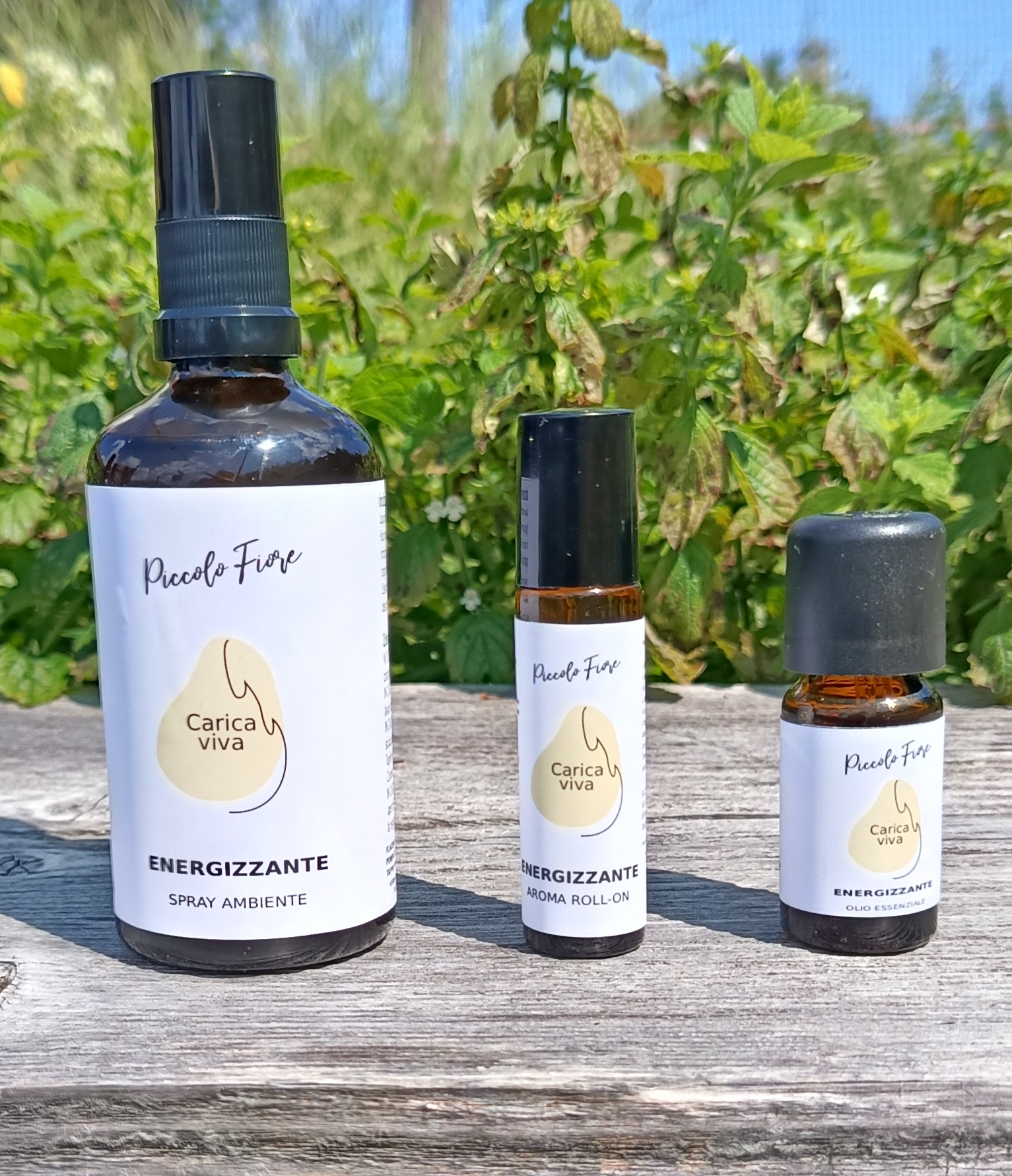 Carica Viva - Spray Ambiente - immagine 2