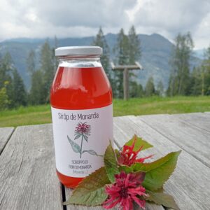 Sciroppo di Monarda