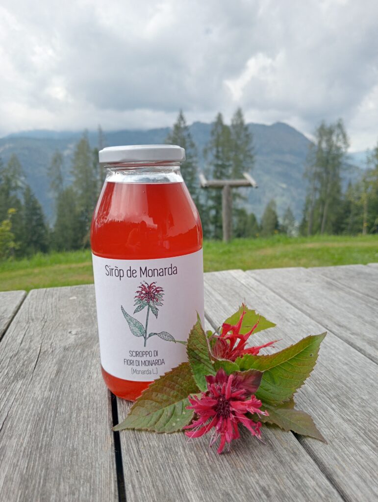 Sciroppo di Monarda