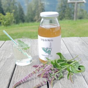 Sciroppo di Menta