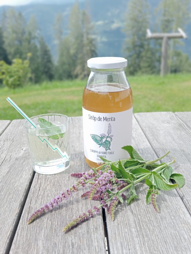 Sciroppo di Menta